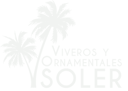 Ornamentales Soler - Venta al por mayor en Alicante y Elche